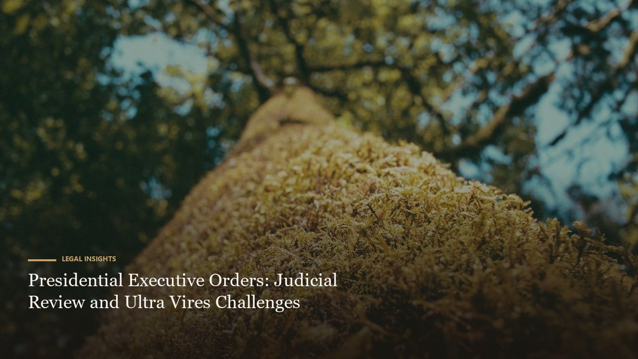 Presidential Executive Orders: Judicial Review and Ultra Vires Challenges