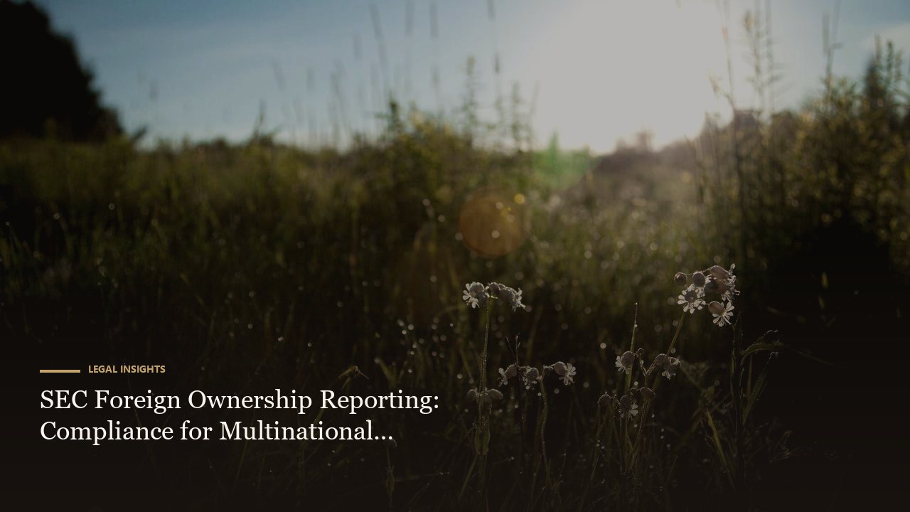 SEC Foreign Ownership Reporting: Compliance for Multinational Subsidiaries